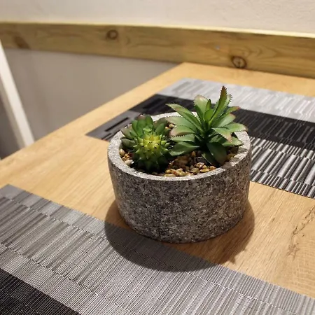 Re'carlo Apartment *